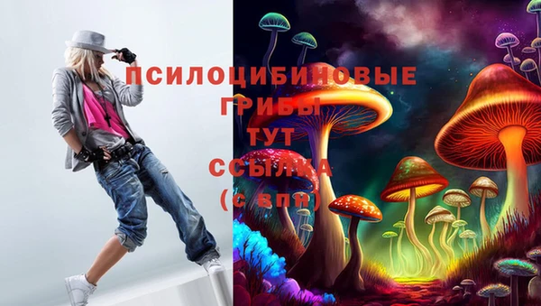 ALPHA-PVP Алексин