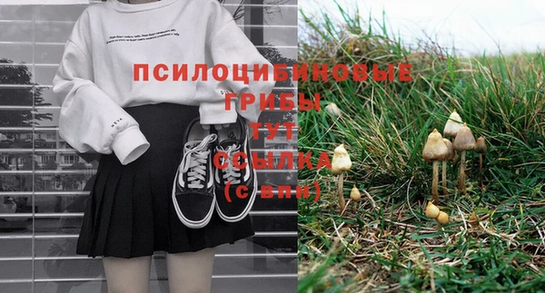 ГАЛЛЮЦИНОГЕННЫЕ ГРИБЫ Лиски